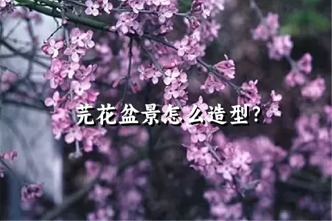 芫花盆景怎么造型？