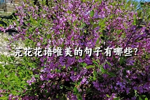 芫花花语唯美的句子有哪些？