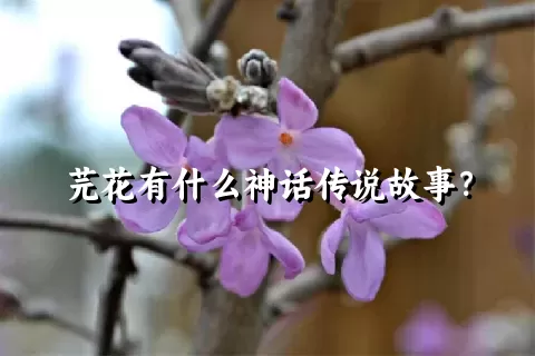 芫花有什么神话传说故事？