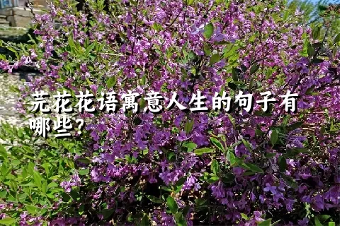 芫花花语寓意人生的句子有哪些？