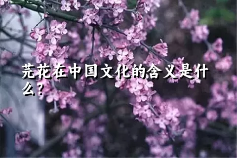 芫花在中国文化的含义是什么？