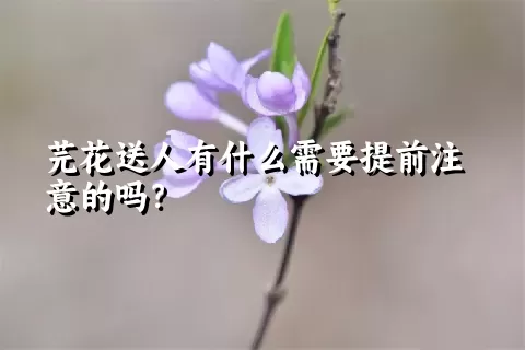 芫花送人有什么需要提前注意的吗？