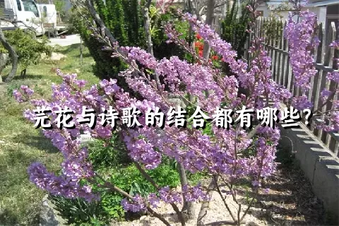 芫花与诗歌的结合都有哪些？