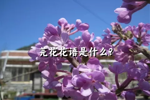 芫花花语是什么？