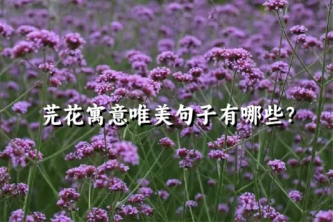 芫花寓意唯美句子有哪些？