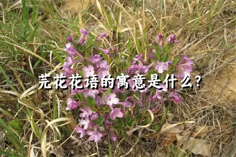 芫花花语的寓意是什么？