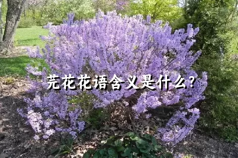 芫花花语含义是什么？