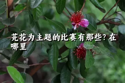 芫花为主题的比赛有那些？在哪里