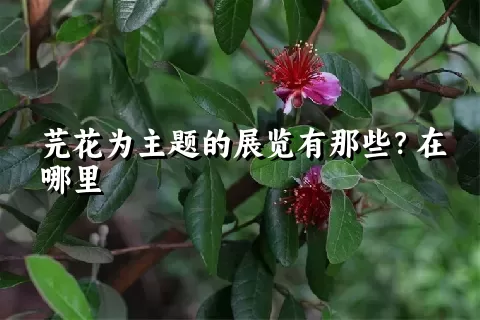 芫花为主题的展览有那些？在哪里