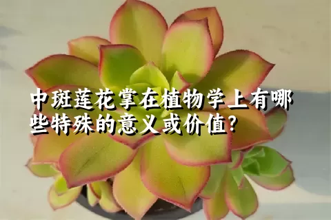 中斑莲花掌在植物学上有哪些特殊的意义或价值？