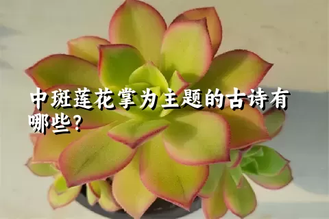 中斑莲花掌为主题的古诗有哪些？