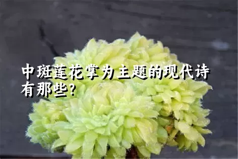 中斑莲花掌为主题的现代诗有那些？