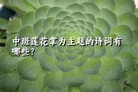 中斑莲花掌为主题的诗词有哪些？