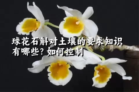 球花石斛对土壤的要求知识有哪些？如何控制