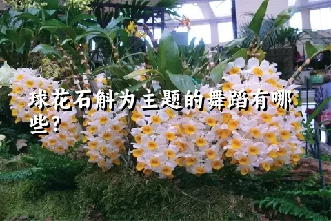 球花石斛为主题的舞蹈有哪些？