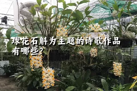 球花石斛为主题的诗歌作品有哪些？