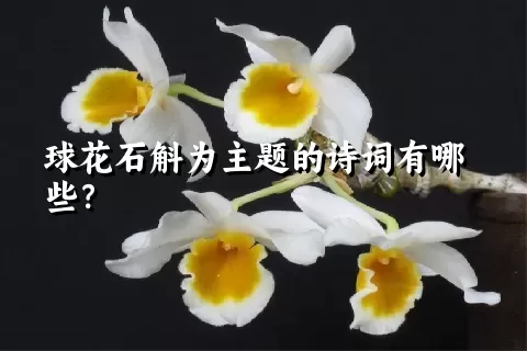 球花石斛为主题的诗词有哪些？