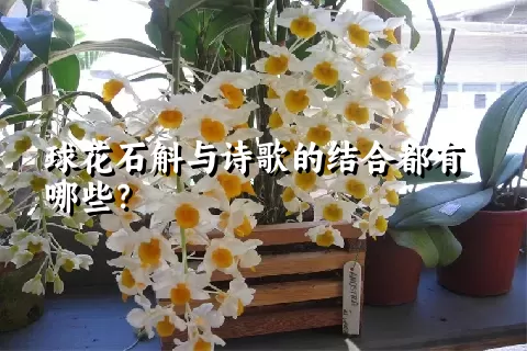 球花石斛与诗歌的结合都有哪些？