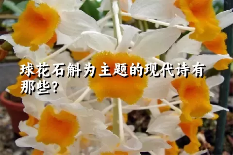 球花石斛为主题的现代诗有那些？