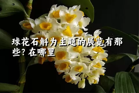 球花石斛为主题的展览有那些？在哪里