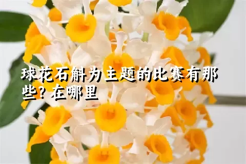 球花石斛为主题的比赛有那些？在哪里