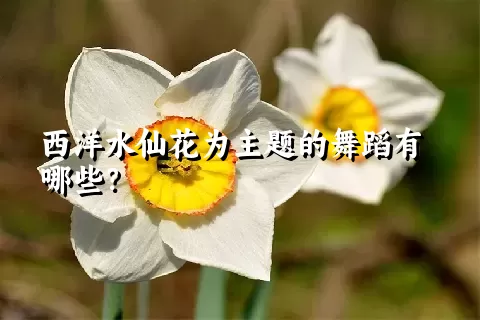 西洋水仙花为主题的舞蹈有哪些？