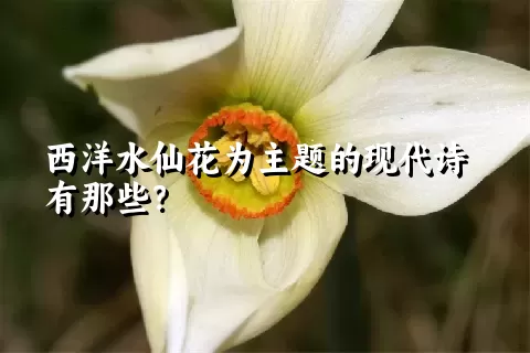 西洋水仙花为主题的现代诗有那些？