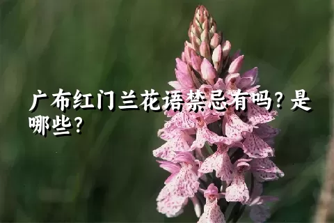 广布红门兰花语禁忌有吗？是哪些？