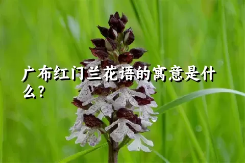 广布红门兰花语的寓意是什么？