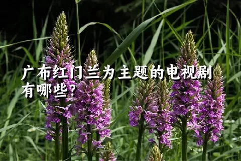 广布红门兰为主题的电视剧有哪些？