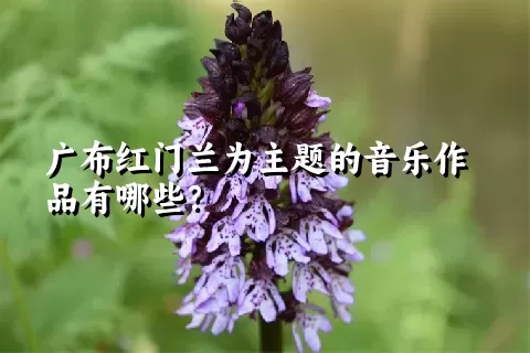 广布红门兰为主题的音乐作品有哪些？