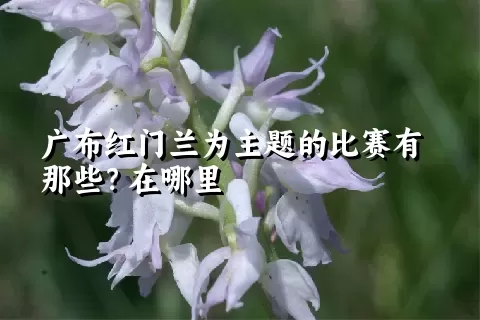 广布红门兰为主题的比赛有那些？在哪里