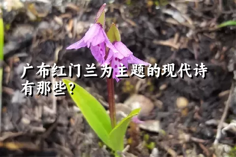 广布红门兰为主题的现代诗有那些？