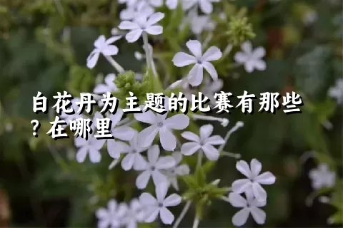 白花丹为主题的比赛有那些？在哪里