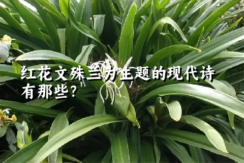 红花文殊兰为主题的现代诗有那些？