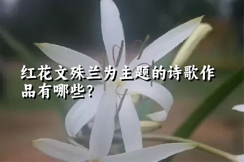 红花文殊兰为主题的诗歌作品有哪些？