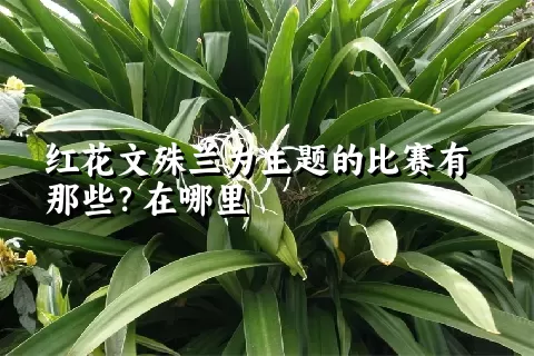 红花文殊兰为主题的比赛有那些？在哪里