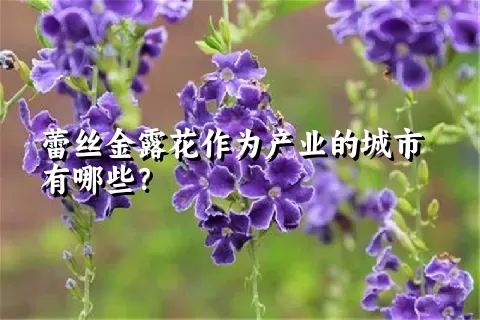 蕾丝金露花作为产业的城市有哪些？