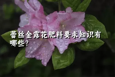 蕾丝金露花肥料要求知识有哪些？