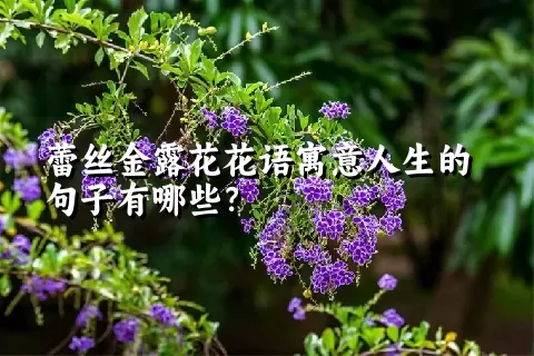 蕾丝金露花花语寓意人生的句子有哪些？