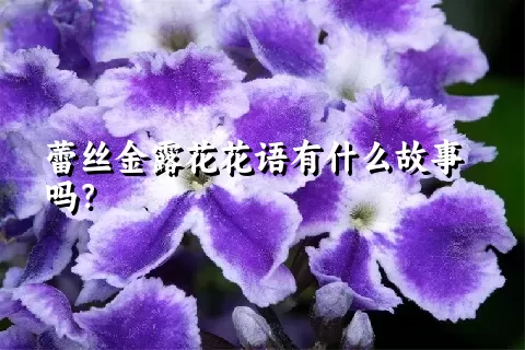 蕾丝金露花花语有什么故事吗？