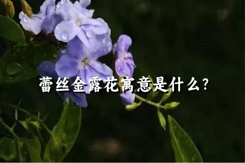 蕾丝金露花寓意是什么？