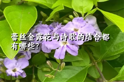 蕾丝金露花与诗歌的结合都有哪些？