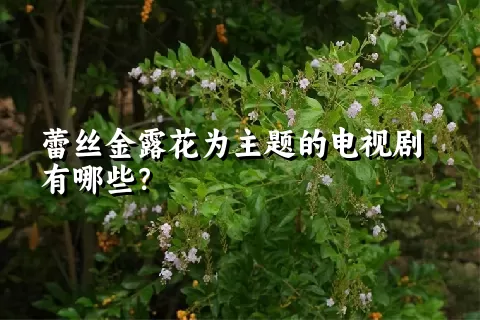 蕾丝金露花为主题的电视剧有哪些？