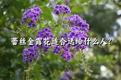 蕾丝金露花适合送给什么人？