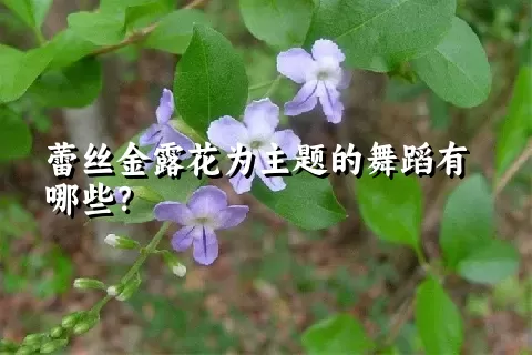 蕾丝金露花为主题的舞蹈有哪些？