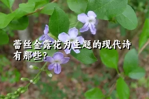 蕾丝金露花为主题的现代诗有那些？