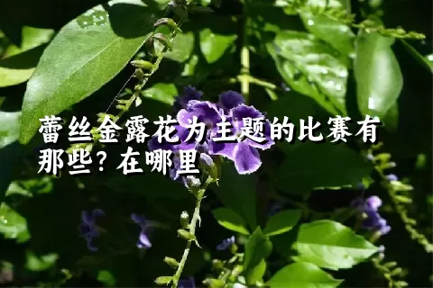 蕾丝金露花为主题的比赛有那些？在哪里