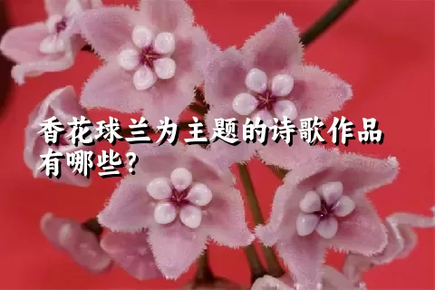 香花球兰为主题的诗歌作品有哪些？