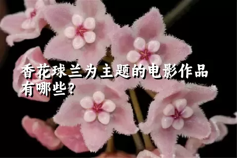 香花球兰为主题的电影作品有哪些？